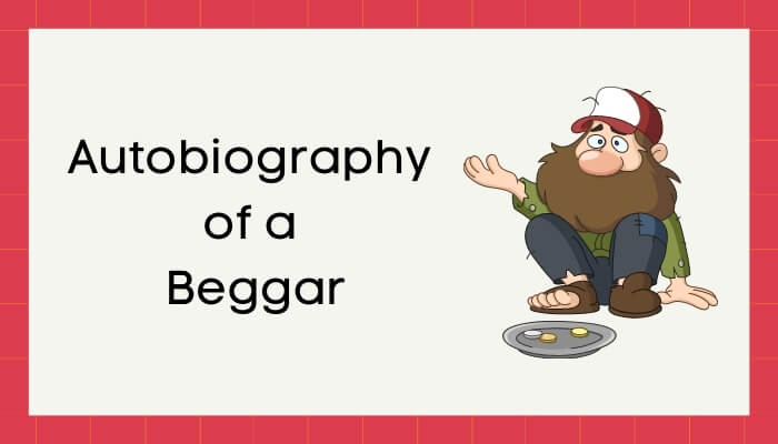 एक भिखमंगे की आत्मकथा हिंदी निबंध - Autobiography of Beggar Essay in Hindi