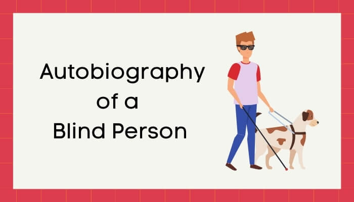 एक अंधा बोलता है हिंदी निबंध - Autobiography of Blind Person Essay in Hindi