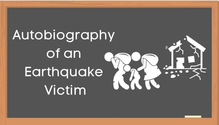 एक भूकंप-पीड़ित की आत्मकथा हिंदी निबंध - Autobiography of Earthquake Victim Essay in Hindi