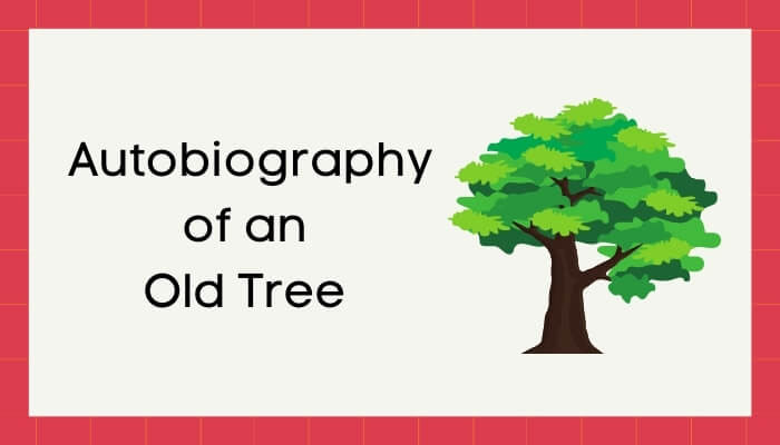 एक जीर्ण वृक्ष की आत्मकथा हिंदी निबंध - Autobiography of Old Tree Essay in Hindi