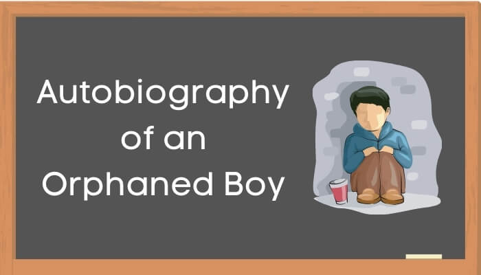 एक अनाथ बालक की आत्मकथा हिंदी निबंध - Autobiography of Orphaned Boy Essay in Hindi