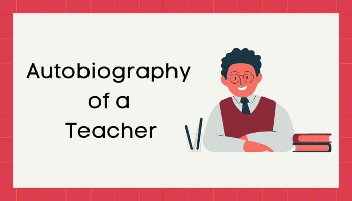 एक शिक्षक की आत्मकथा हिंदी निबंध - Autobiography of Teacher Essay in Hindi