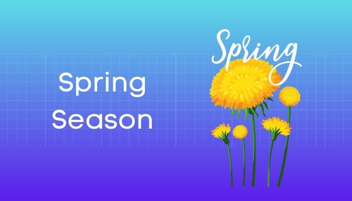 ऋतुराज वसंत हिंदी निबंध - Spring Season Essay in Hindi